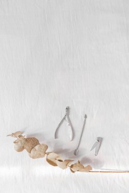 Beyaz arka planda okaliptüs yapraklı manikür kitinin üst görünümü