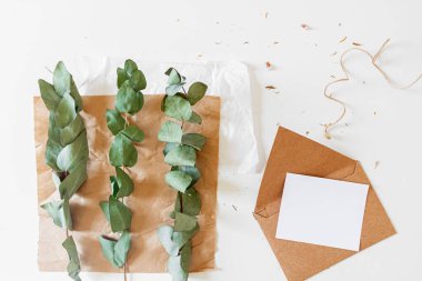 El işi zarflarının yaratıcı retro tarzı kompozisyonu, beyaz arka planda boş kağıt levha ve okaliptüs dalları. Çiçekçi, çiçekçi, hediye konsepti.. 