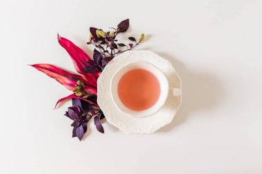 Beyaz arka planda mor, pembe yapraklı zencefil çayı kompozisyonu.. 