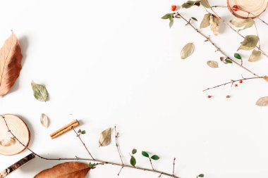 Sonbahar, sonbahar arkaplanı kuru sonbahar yaprakları, klasik kamera filmleri, tahta parçaları, tarçın, beyaz böğürtlen