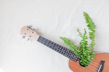 Beyaz arka planda, içinde eğreltiotu yaprakları olan Ukulele. 