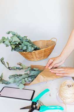 Çiçekçi beyaz arka planda okaliptüs buketi yapıyor. Çiçek asgari konsept.