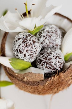 Hindistan cevizi kasesinde çikolata ve hindistan cevizi şekeri. Yemek tasarımı. Yaz konforlu yiyecekler. Estetik bileşim.