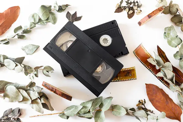 Video cassette, old-fashioned camera films, dried branches of eucalyptus leaves, and wood pieces on white background. Flat lay, overhead view, top view. Vintage frame composition.