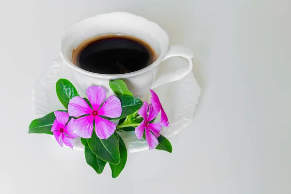 Xícara Café Preto Com Flores Roxas Fundo Branco — Fotografia de Stock