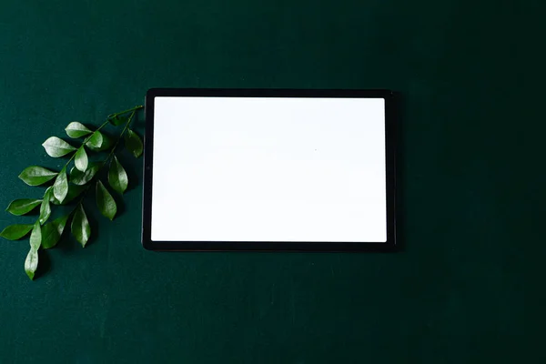 Üres Képernyős Tabletta Mélyzöld Háttérrel Lapos Fekvés Csúcskilátás Esztétikai Minden — Stock Fotó