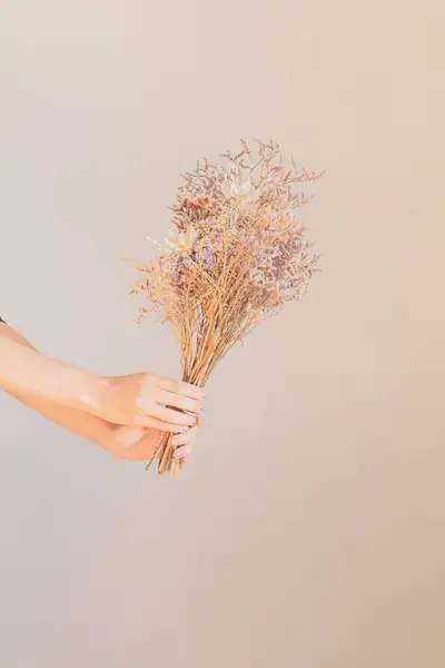 Die Hand Einer Jungen Frau Hält Einen Getrockneten Blumenstrauß — Stockfoto