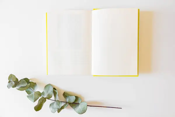 Draufsicht Auf Aufgeschlagenes Buch Und Getrockneten Eukalyptuszweig Auf Weißem Hintergrund — Stockfoto