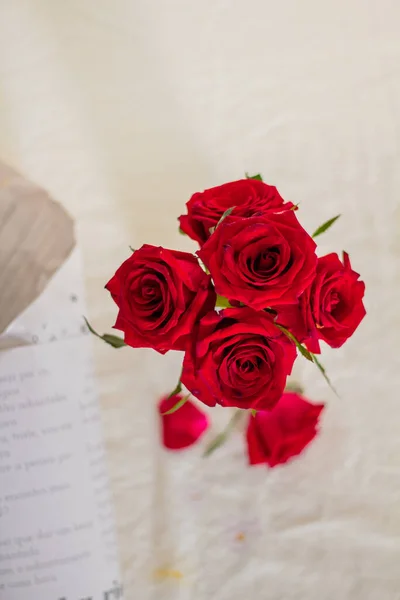 Flores Rosa Roja Sobre Fondo Beige — Foto de Stock