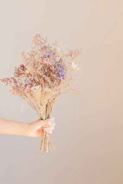Рука Молодой Женщины Держит Сушеный Букет Цветов — стоковое фото