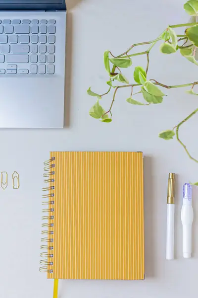 Modern Office Desk Workspace Laptop Notebook Stationery Supplies Green Plant — Stock Photo, Image