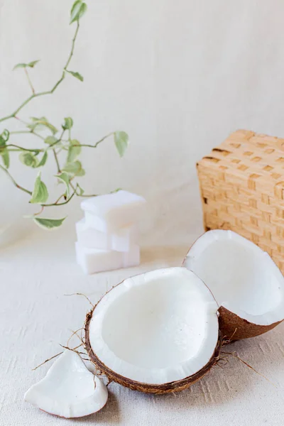 Coconut Coconut Soap White Background Eco Cleaning Natural Spring Cleaning — Stock Photo, Image