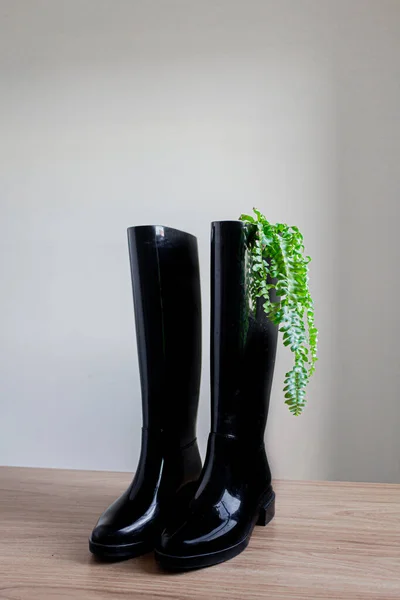 Rain Black Boots Green Fern Leaves — Stock Photo, Image