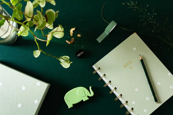Modern Stationery Office Supplies All Green Composition Flat Lay Top — Stock Photo, Image