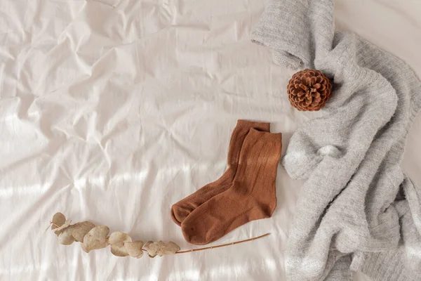 冬天的作文 一杯咖啡躺在米黄色的亚麻布床上 上面有棕色的暖袜子 桉树和松树 生活方式 时尚季节观念 — 图库照片