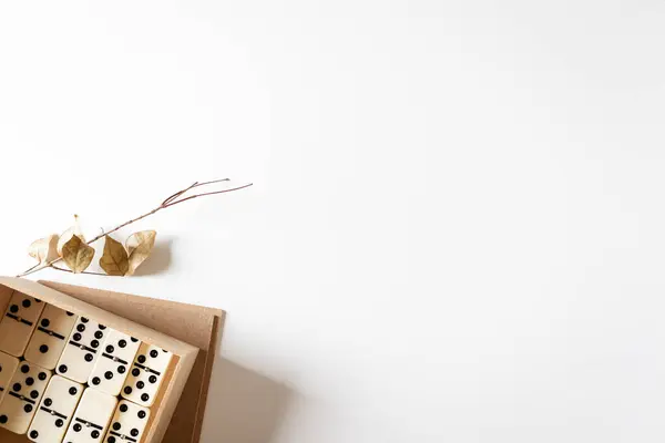 Vintage Domino Schachtel Mit Getrockneten Blättern Auf Weißem Hintergrund — Stockfoto