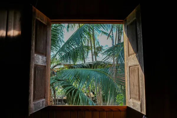 Drewno Rustykalne Okno Wnętrzu Amazon Forest House — Zdjęcie stockowe