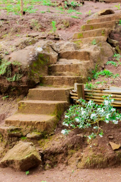 Treppen Aus Lehm Und Weiße Blumen Auf Dem Weg — Stockfoto