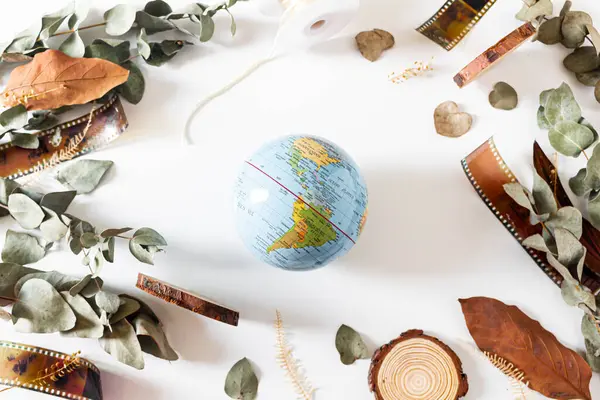 Earth, and frame with old camera films, dried branches of eucalyptus leaves, and wood pieces on white background. Flat lay, overhead view, top view. Global Entertainment Evolution composition.