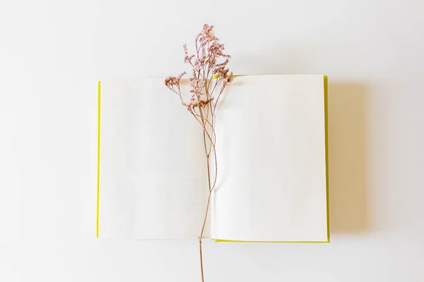 翻开的书和白色背景的干花的顶部视图 — 图库照片