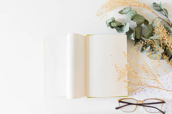 Tavaszi Összeállítás Nyitott Könyv Szárított Virágok Fehér Alapon — Stock Fotó