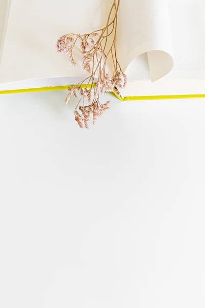 Frühjahrszusammensetzung Geöffnetes Buch Und Getrocknete Blumen Auf Weißem Hintergrund Frühlingslesekonzept — Stockfoto