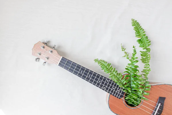 Ukulele with fern leaves inside, on a white background