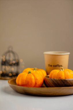 Güzel küçük balkabakları. Sonbahar mevsimi konsepti.