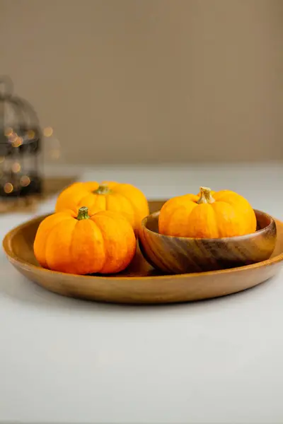 Beautiful Little Pumpkins Autumn Season Concept — Stock Photo, Image