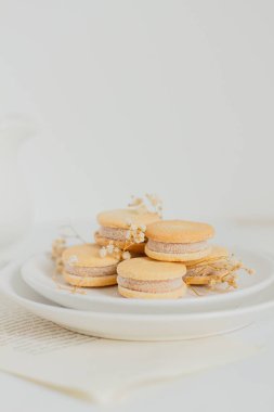 Beyaz arka planda bej bisküviler. Minimalist kompozisyon.