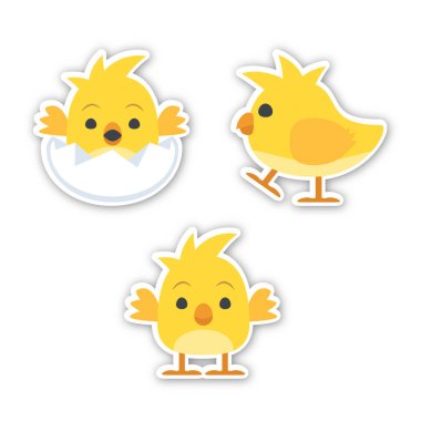 Bebek Chick Icon Koleksiyonu. Emoji Vektörü. Renkli Simge. Simge Vektörü. Simge Tasarımı