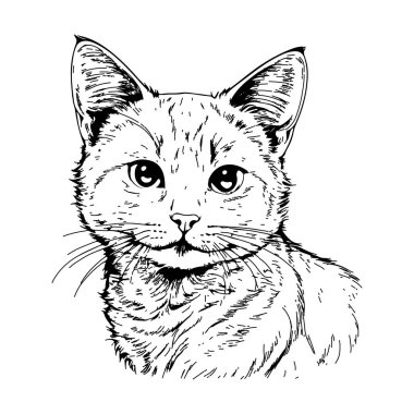Bir kedinin çizgi çizimi, gösterişli ve modern bir tasarım.