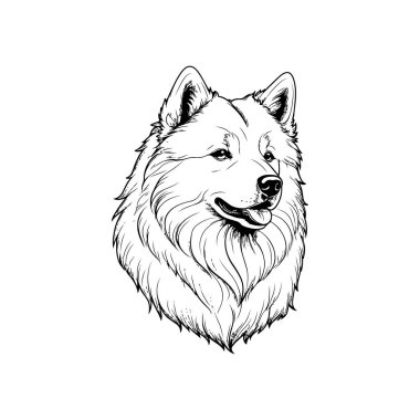 Samoyed 'li bir köpeğin sanat tarzında enine boyuna detaylı bir tasviri.