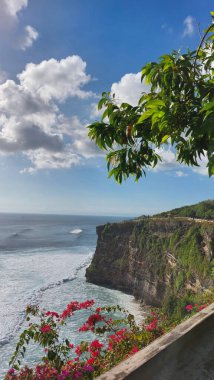 Denpasar, Endonezya - 4 Ağustos 2022: Arka planda deniz manzarası ve bulutlu Uluwatu Sahili Bali 'nin uçurum kenarındaki kırmızı çiçek
