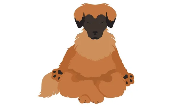 Leonberger Aquarel Portret Schilderen Geïllustreerde Hond Puppy Geïsoleerd — Stockfoto