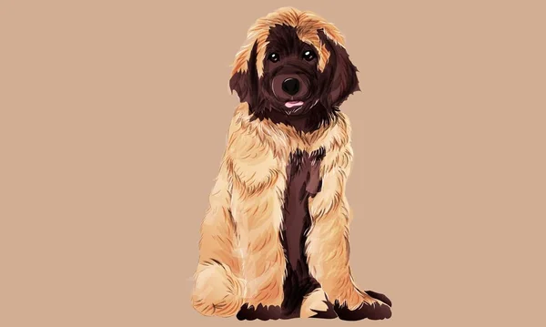 Leonberger Akvarelli Muotokuva Maalaus Kuvitettu Koira Pentu Eristetty — kuvapankkivalokuva