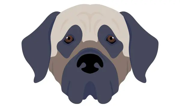 Angielski Mastiff Dog Dobry Użytek Dla Symbolu Maskotki Ikony Avatara — Zdjęcie stockowe