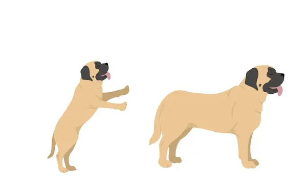 Engelska Mastiff Hund Bra Användning För Symbol Maskot Ikon Avatar — Stockfoto