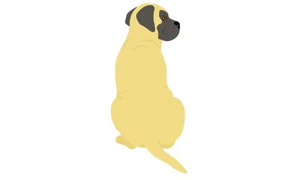 Cão Mastim Inglês Bom Uso Para Símbolo Mascote Ícone Avatar — Fotografia de Stock