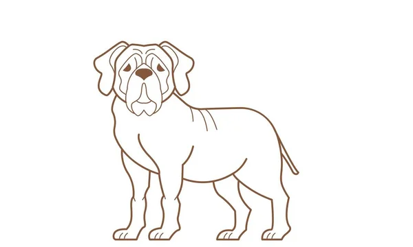 Engelsk Mastiff Hund God Brug Symbol Maskot Ikon Avatar Tatovering - Stock-foto