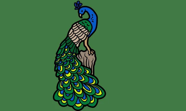 Peafowl Oiseau Sur Fond Aquarelle Dessin Main Dessin Réaliste Illustration — Photo
