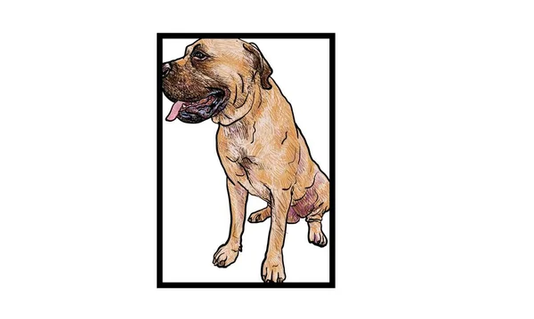Englischer Mastiff Hund Gut Geeignet Für Symbol Maskottchen Symbol Avatar — Stockfoto