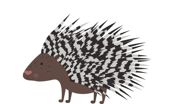 Porcupine Illustration Clipart Dessin Gravure Encre Line Art Vecteur — Photo