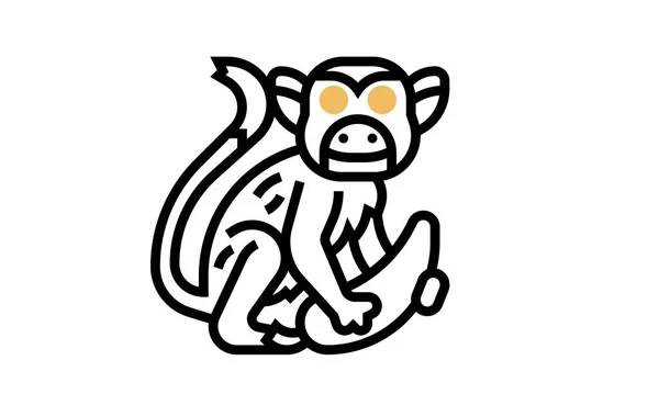 Vetor Gravura Antiga Desenho Ilustração Macaco Esquilo Desenho Esboço Macaco — Fotografia de Stock
