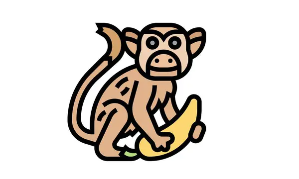Векторний Антикварний Гравюрний Малюнок Ілюстрація Білка Мавпи Ескізний Малюнок Білки — стокове фото