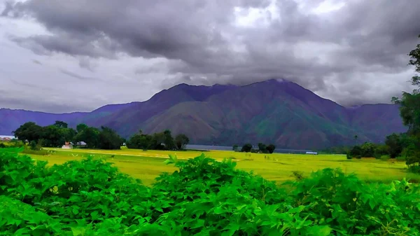 Die Berge Unter Dem See Und Die Atemberaubenden Gelben Reisfelder — Stockfoto