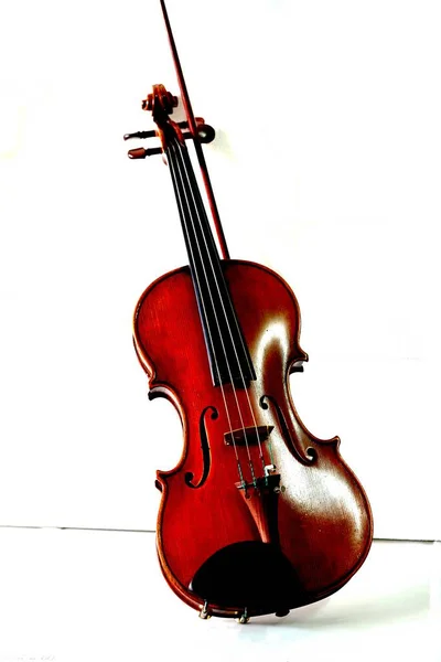 Скрипка Паличкою Білому Тлі — стокове фото