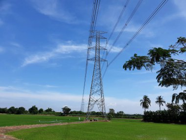 Pirinç tarlasında yüksek voltajlı elektrik iletim hattı.