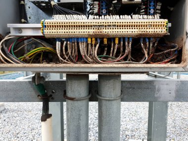 Termitler 115 kV 'lik elektrik kontrol kutusunun içinde tepecikler oluştururlar (motor kontrollü mekanizma dolabı))