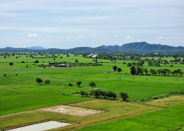 Dağ üzerindeki manzara pirinç tarlası, bulut ve mavi gökyüzü arka planı.